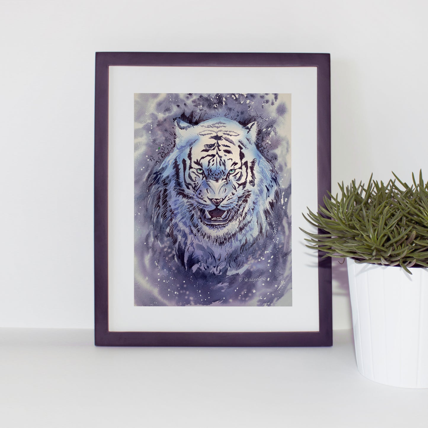 Snow Tiger Teeth